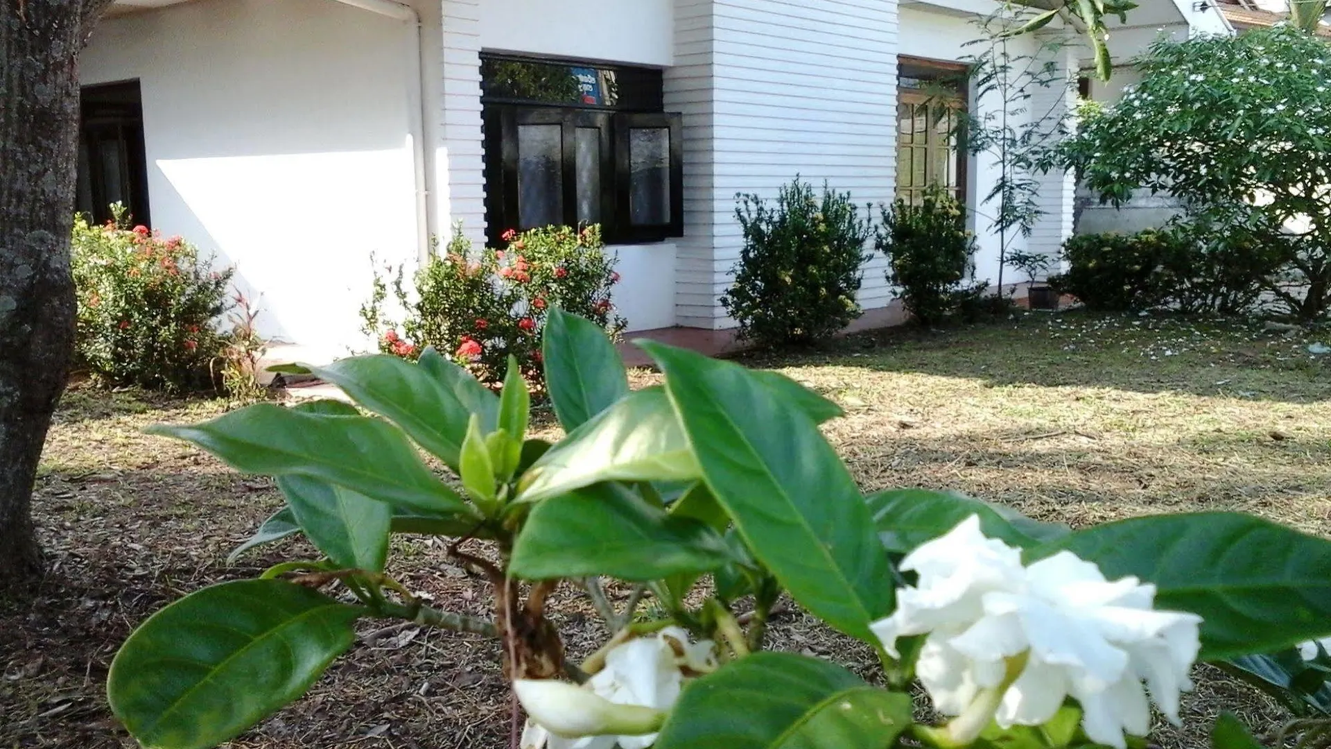 Mazz Homestay Negombo 0*,  Šrí Lanka