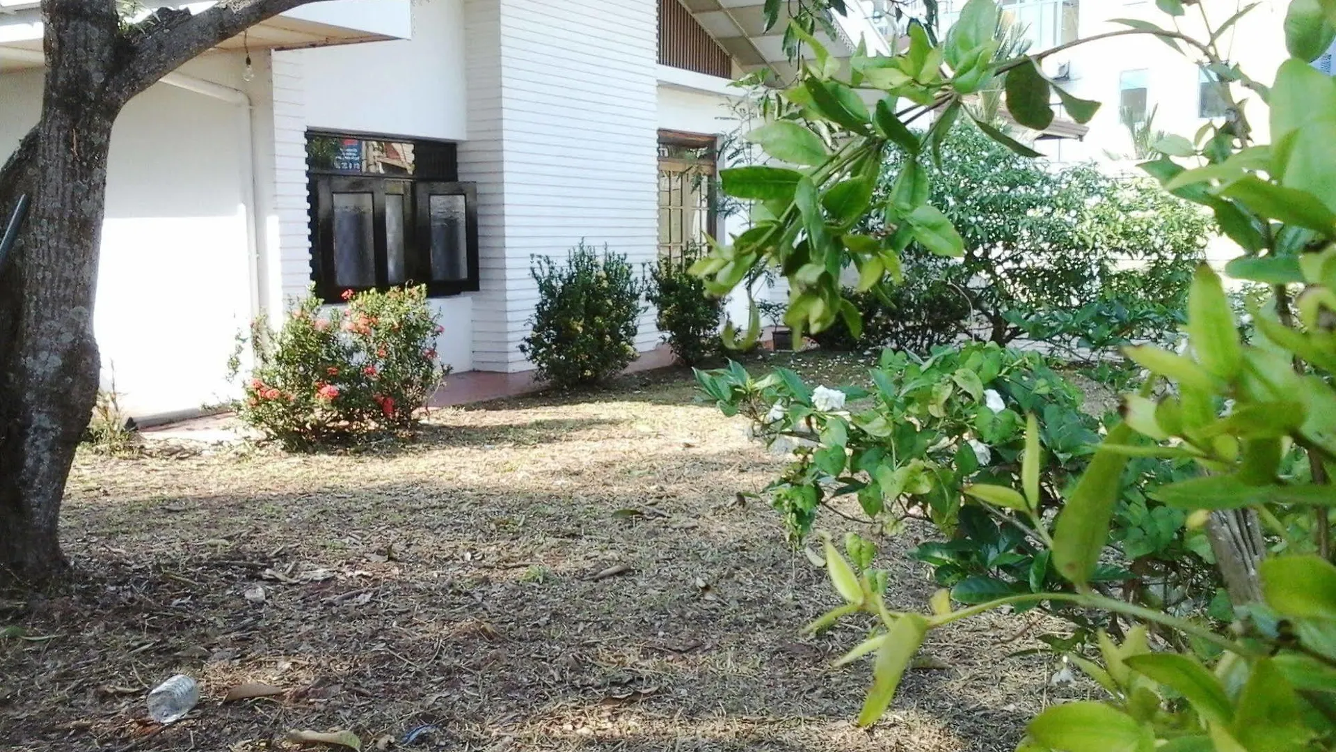 马扎家庭旅馆 尼甘布 住宿加早餐酒店