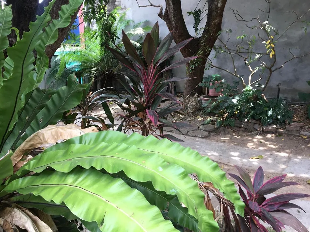 住宿加早餐酒店 马扎家庭旅馆 尼甘布