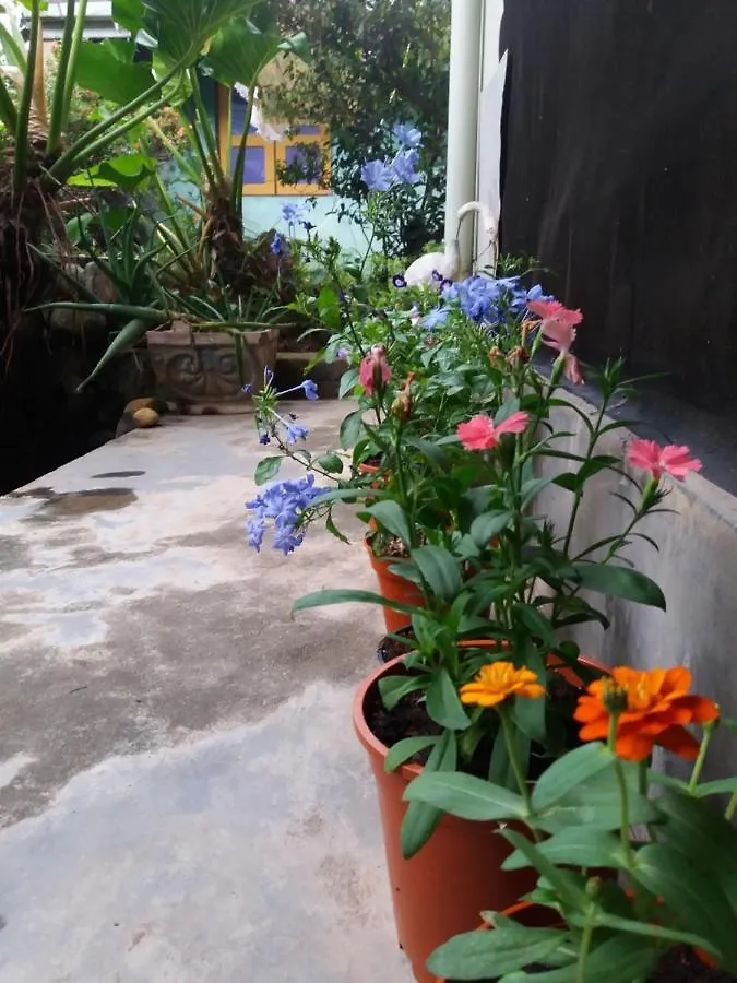 Mazz Homestay Sri Lanka
