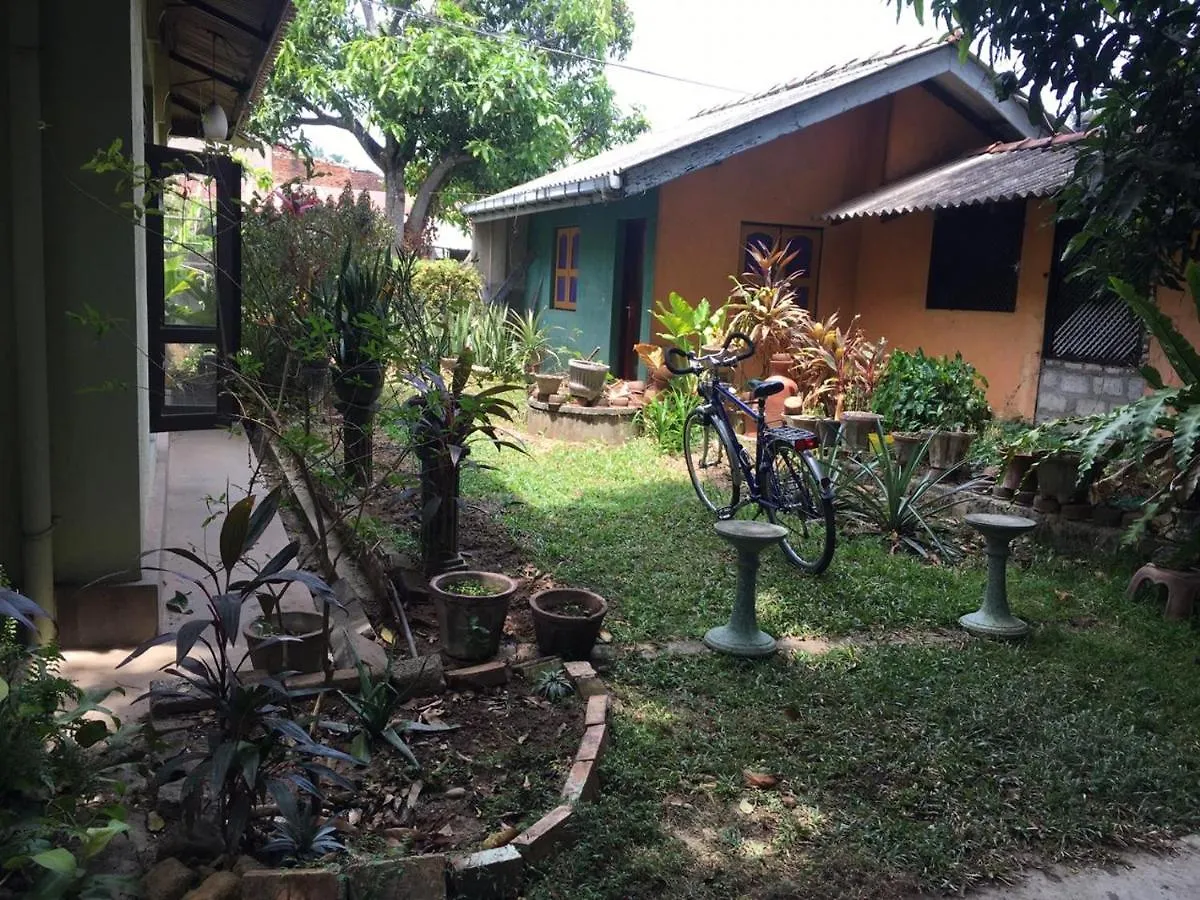 Mazz Homestay 0*, Negombo