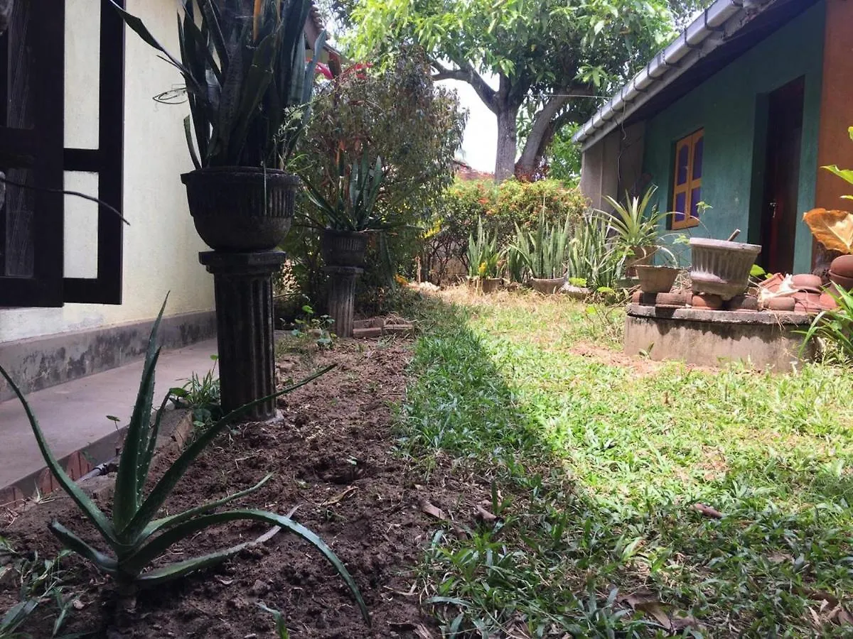 Mazz Homestay Bed & Breakfast